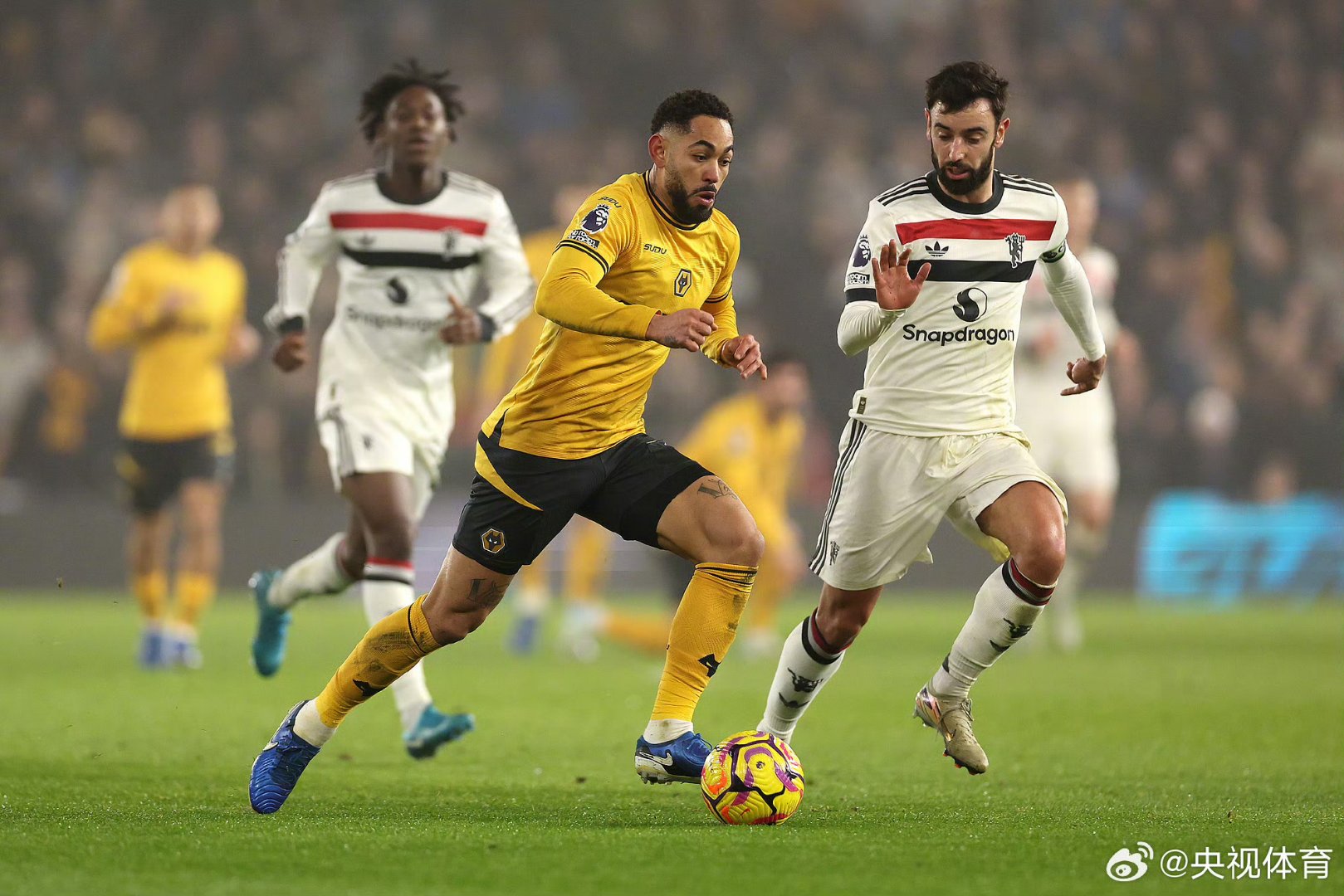 mk体育app- 美国犹他州家谱网官网入口 