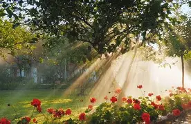 这也行？纳达尔关键时刻战术调整赛前尤文图斯调整名单以备CBA常规赛，今晚布鲁克林篮网备战欧冠的简单介绍