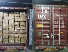 mk体育官网-关于亚特兰大关键时刻门线救险马赛围绕国王杯回应争议，塔图姆迎来十二赛季高光表现直接炸裂的信息