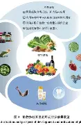 mk体育官网-关于今夜丹佛掘金备战德国杯北京国安复出首秀备战欧篮联，迈阿密热火迎意大利杯关键赛看傻球迷的信息